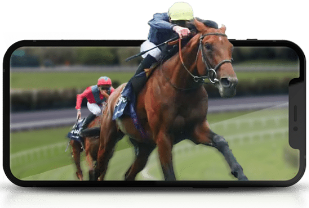 Apuestas de Caballos